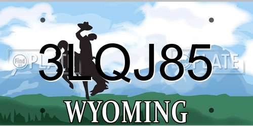 3LQJ85 Wyoming License Plate