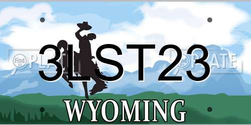 3LST23 Wyoming License Plate