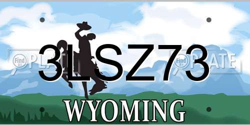 3LSZ73 Wyoming License Plate