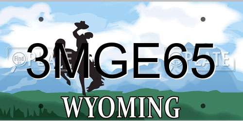 3MGE65 Wyoming License Plate