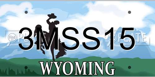 3MSS15 Wyoming License Plate