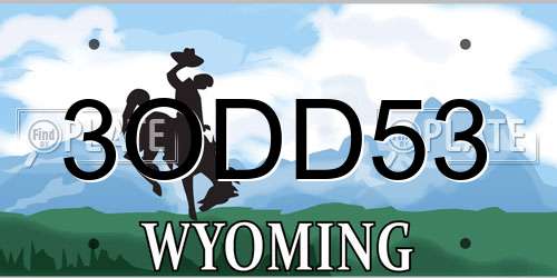 3ODD53 Wyoming License Plate