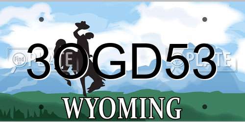 3OGD53 Wyoming License Plate