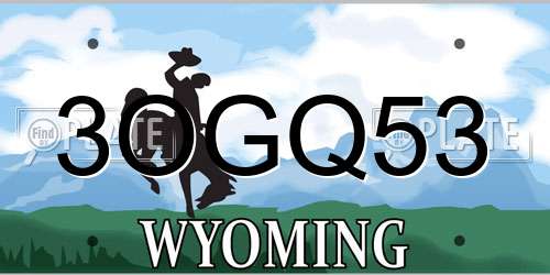 3OGQ53 Wyoming License Plate