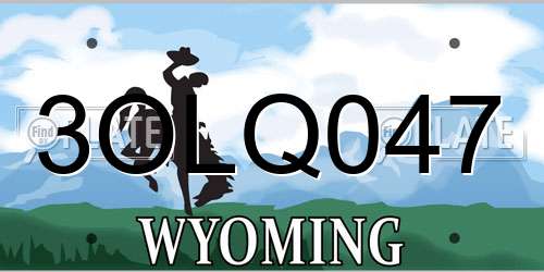 3OLQ047 Wyoming License Plate