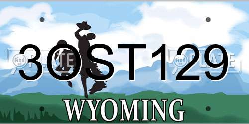 3OST129 Wyoming License Plate