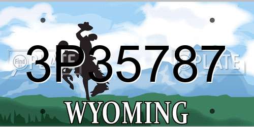 3P35787 Wyoming License Plate