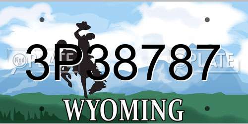 3P38787 Wyoming License Plate