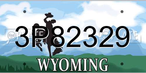 3P82329 Wyoming License Plate