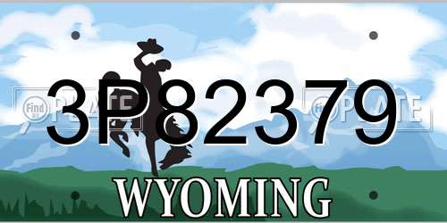 3P82379 Wyoming License Plate
