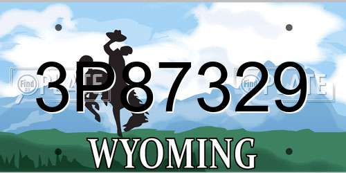 3P87329 Wyoming License Plate