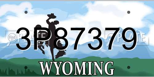 3P87379 Wyoming License Plate