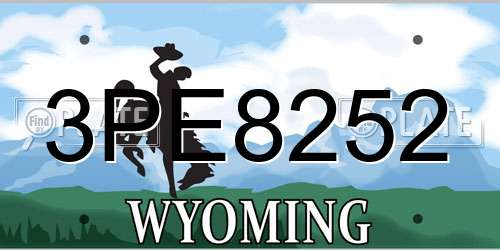 3PE8252 Wyoming License Plate