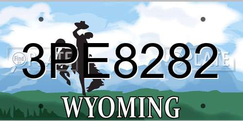 3PE8282 Wyoming License Plate