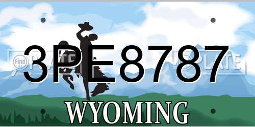 3PE8787 Wyoming License Plate