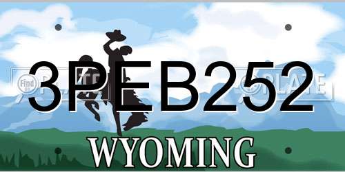 3PEB252 Wyoming License Plate