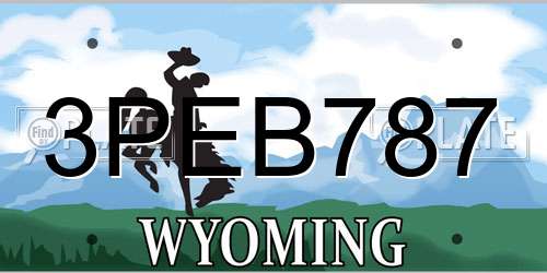 3PEB787 Wyoming License Plate
