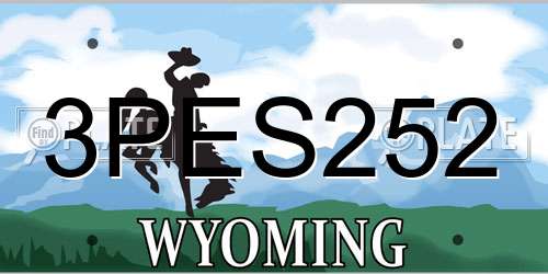 3PES252 Wyoming License Plate