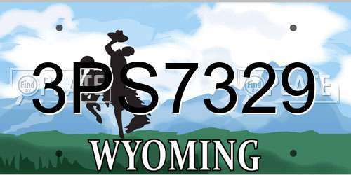 3PS7329 Wyoming License Plate