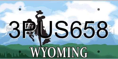 3PUS658 Wyoming License Plate