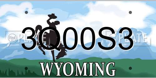 3Q00S3 Wyoming License Plate