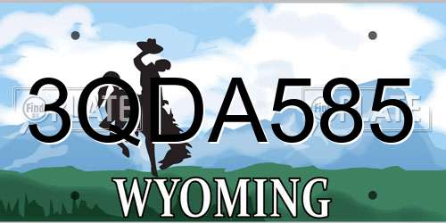 3QDA585 Wyoming License Plate