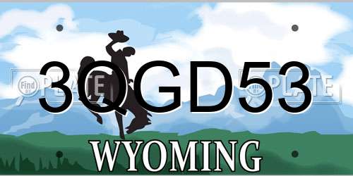 3QGD53 Wyoming License Plate