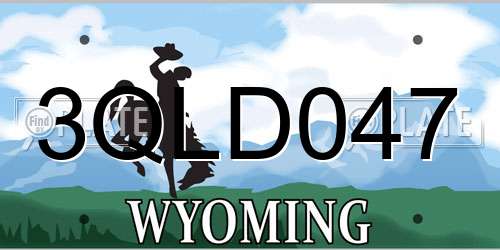 3QLD047 Wyoming License Plate