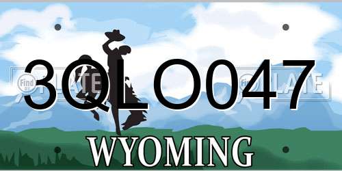 3QLO047 Wyoming License Plate