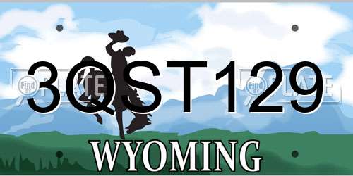 3QST129 Wyoming License Plate