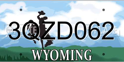 3QZD062 Wyoming License Plate