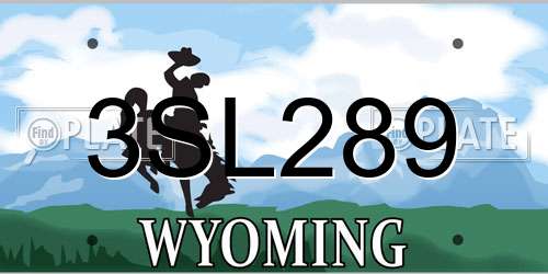 3SL289 Wyoming License Plate