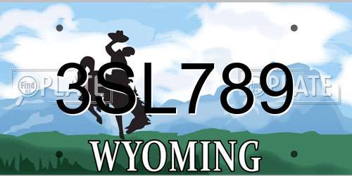 3SL789 Wyoming License Plate