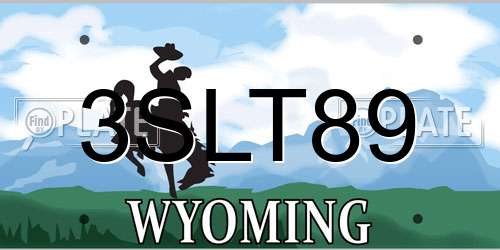 3SLT89 Wyoming License Plate