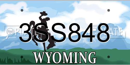 3SS848 Wyoming License Plate