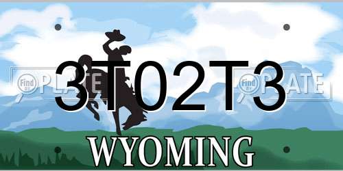 3T02T3 Wyoming License Plate