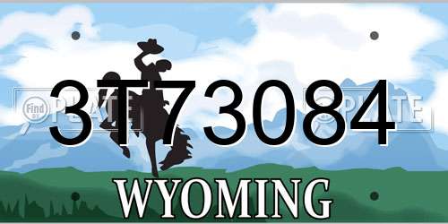 3T73084 Wyoming License Plate