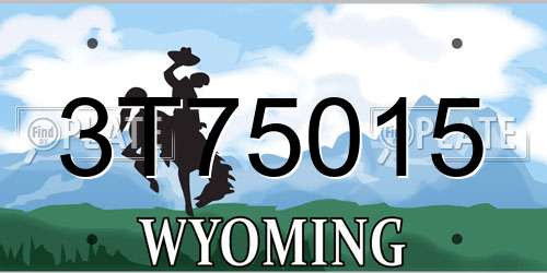 3T75015 Wyoming License Plate