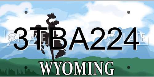 3TBA224 Wyoming License Plate