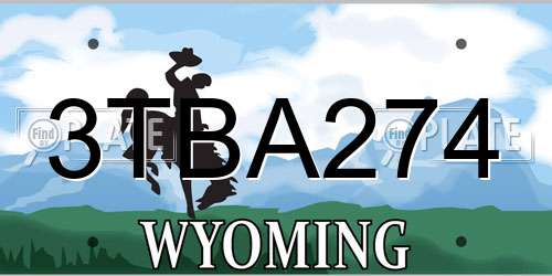 3TBA274 Wyoming License Plate