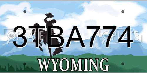 3TBA774 Wyoming License Plate