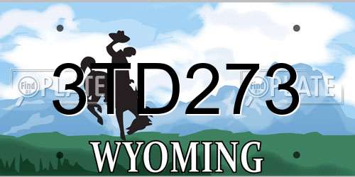 3TD273 Wyoming License Plate