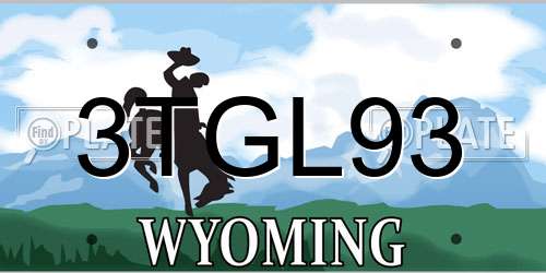 3TGL93 Wyoming License Plate