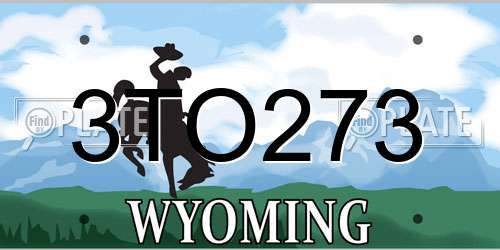 3TO273 Wyoming License Plate