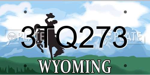 3TQ273 Wyoming License Plate