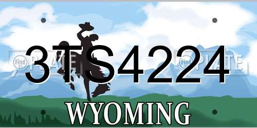 3TS4224 Wyoming License Plate