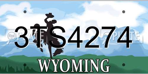 3TS4274 Wyoming License Plate