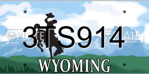 3TS914 Wyoming License Plate