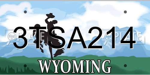 3TSA214 Wyoming License Plate