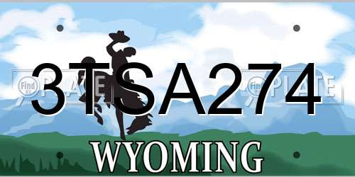 3TSA274 Wyoming License Plate